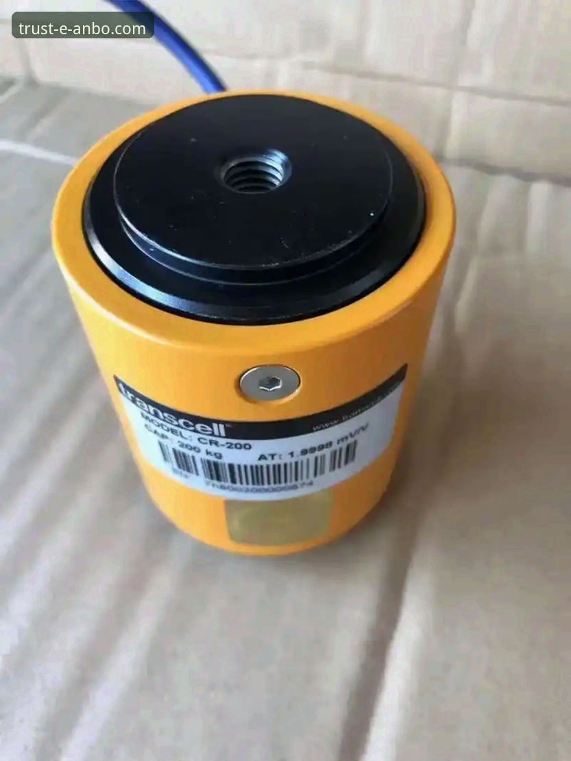 安博中国(ANBO)官方网站 · 专业品质，值得信赖 · 7F9K）承载着账户管理、服务下载、客服支持等核心功能。自2023年10月发布最新版本（v4.8.2）以来，平台在安全性和流畅度上进行了显著优化，但部分用户在执行“安博中国最新版本下载”后，遭遇了安装中断、进度卡顿或文件损坏等异常。据安博中国官方客服电话（400-XXX-XXXX）统计，2024年第一季度，关于安装失败的咨询量环比上升了12.7%，其中超过六成的问题集中在Windows 11和macOS Ventura系统环境下。