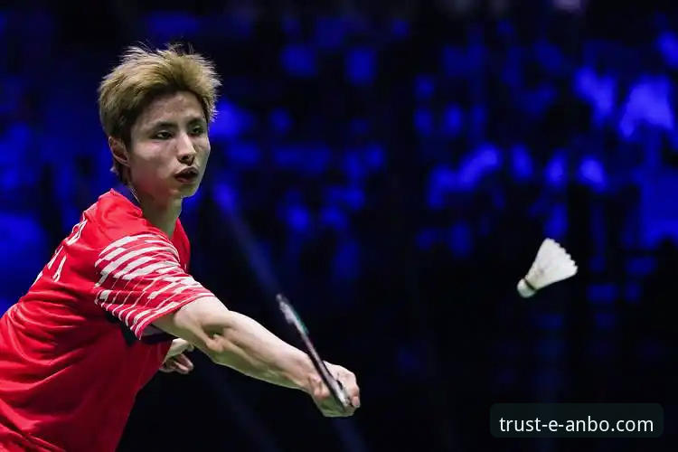 资深用户赵峰实战分享：石宇奇亚锦赛夺冠背后的技术创新与平台体验